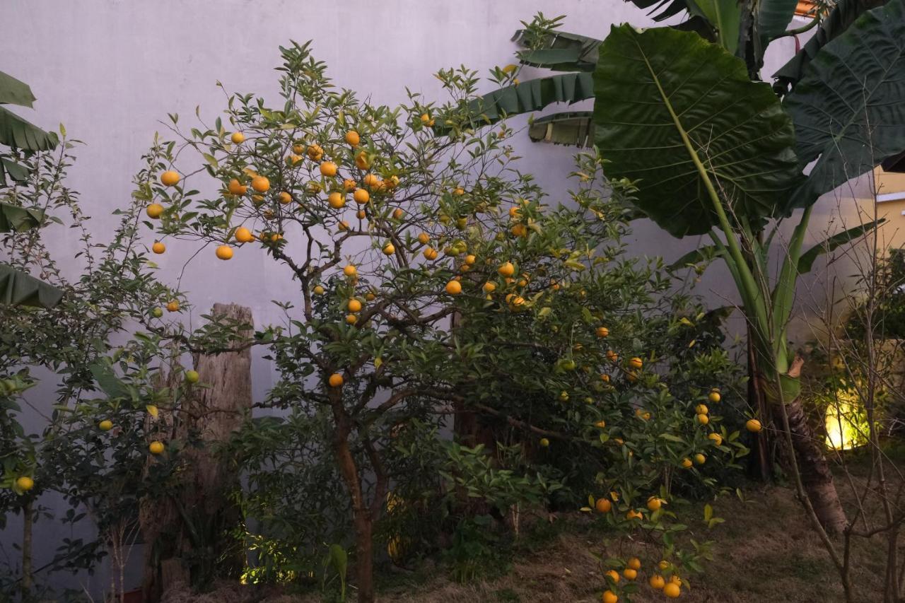 Sapa Charming Homestay Экстерьер фото